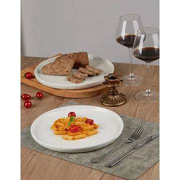 Famiware Mars Dinner Plates Set - Durable and Elegant