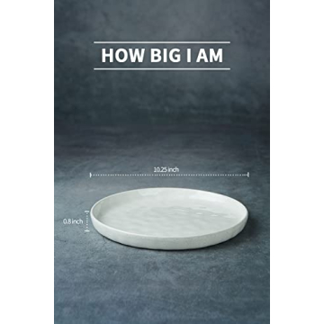 Famiware Mars Dinner Plates Set - Durable and Elegant