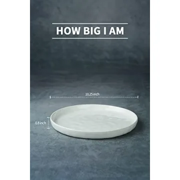 Famiware Mars Dinner Plates Set - Durable and Elegant