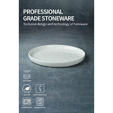 Famiware Mars Dinner Plates Set - Durable and Elegant