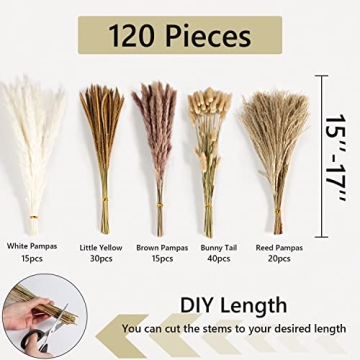 Stunning Dried Pampas Grass Decor for Home & Events