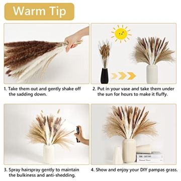 Stunning Dried Pampas Grass Decor for Home & Events