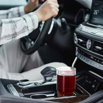 Dingerjar Glass Tumbler with Lid and Straw, High Borosilicate Glass Coffee Cup Smoothie Cups 24 oz/750ml for Hot or Cold Drinks 2 Pack