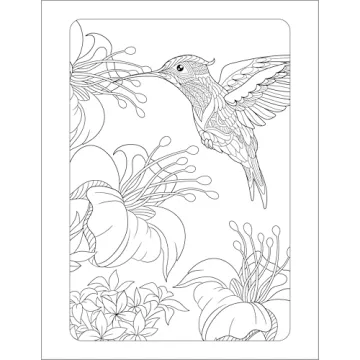 Mindfulness Coloring Book for Anxiety Relief and Relaxation