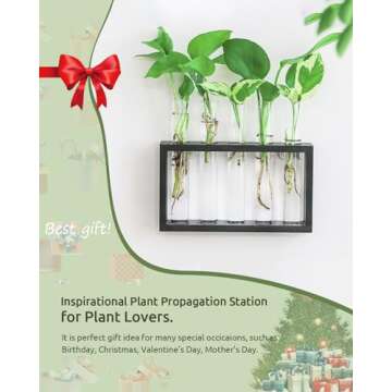 Ivolador Wall Mounted Hanging Plants Terrariumin Test Tube Flower Bud Tabletop Glass Wooden Stand with Test Tube Perfect for Propagating Hydroponic Plants Home Garden Wedding Decoration (M, Black)