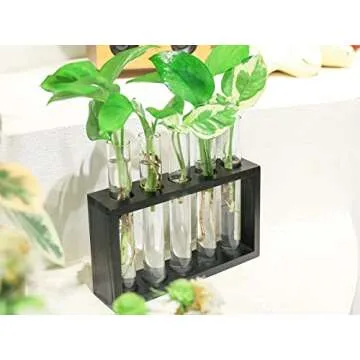 Ivolador Wall Mounted Hanging Plants Terrariumin Test Tube Flower Bud Tabletop Glass Wooden Stand with Test Tube Perfect for Propagating Hydroponic Plants Home Garden Wedding Decoration (M, Black)