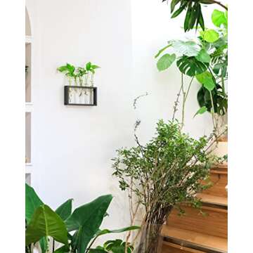Ivolador Wall Mounted Hanging Plants Terrariumin Test Tube Flower Bud Tabletop Glass Wooden Stand with Test Tube Perfect for Propagating Hydroponic Plants Home Garden Wedding Decoration (M, Black)