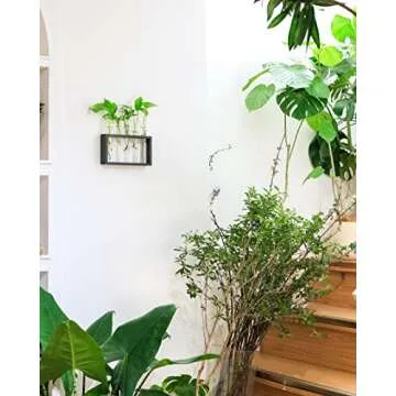 Ivolador Wall Mounted Hanging Plants Terrariumin Test Tube Flower Bud Tabletop Glass Wooden Stand with Test Tube Perfect for Propagating Hydroponic Plants Home Garden Wedding Decoration (M, Black)