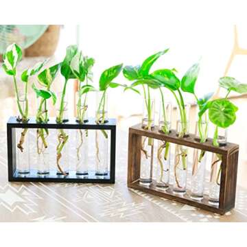 Ivolador Wall Mounted Hanging Plants Terrariumin Test Tube Flower Bud Tabletop Glass Wooden Stand with Test Tube Perfect for Propagating Hydroponic Plants Home Garden Wedding Decoration (M, Black)