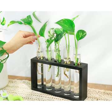 Ivolador Wall Mounted Hanging Plants Terrariumin Test Tube Flower Bud Tabletop Glass Wooden Stand with Test Tube Perfect for Propagating Hydroponic Plants Home Garden Wedding Decoration (M, Black)
