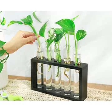 Ivolador Wall Mounted Hanging Plants Terrariumin Test Tube Flower Bud Tabletop Glass Wooden Stand with Test Tube Perfect for Propagating Hydroponic Plants Home Garden Wedding Decoration (M, Black)