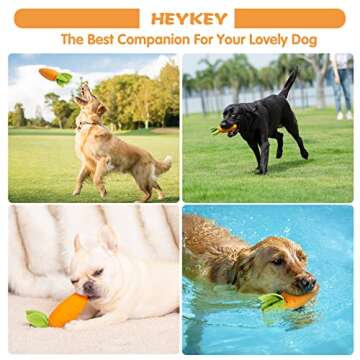 Durable HEYKEY Dog Toys for Aggressive Chewers