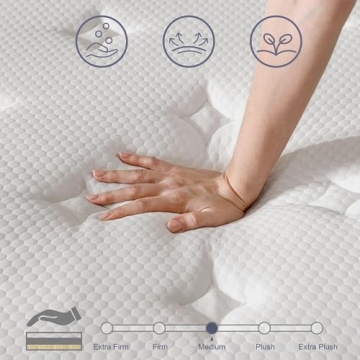 Acochey 10 Inch Queen Mattress - Comfort & Support in a Box