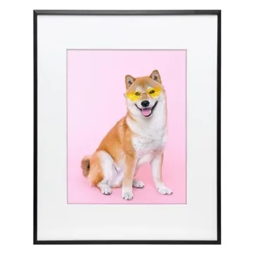 FrameWorks 20x24 Matted to 16x20 Picture Frame – Aluminum Frame w/Tempered Glass, Removable Mat fo...