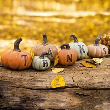 THANKS pumpkin decoration | Thanksgiving 6 pcs Hand-painted pumpkins fall house decor for Thanksgiving Harvest Day tabletop collection, kitchen living room bedroom