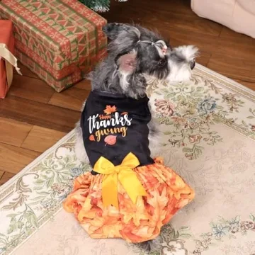 CuteBone Dog Velvet Dress for Small Dogs Thanksgiving Costume