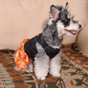 CuteBone Dog Velvet Dress for Small Dogs Thanksgiving Costume