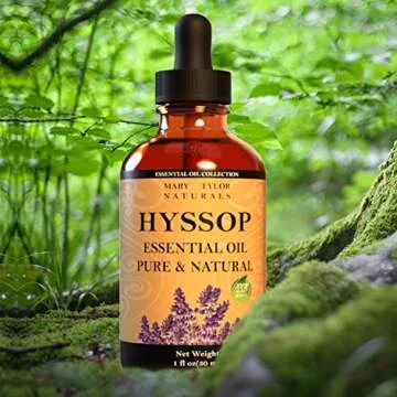 Hyssop Essential Oil - 100% Pure Natural Aromatherapy