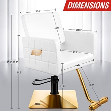Baasha Premium Gold Salon Chair, Comfortable Salon Chair with Thickened Seat Cushion, Beautiful Design White Styling Chair, 360° Swivel Beauty Hair Stylist White Chair, Weight Capacity Up to 330 lbs