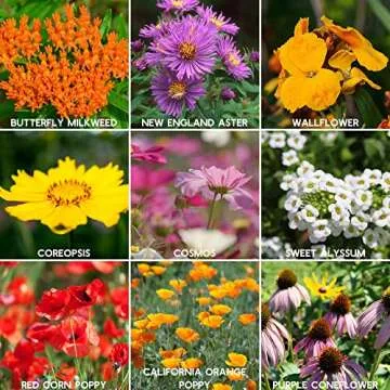 Wildflower Seeds Bulk, 2 Oz. 80,000+Seeds, Save the Bees Wild Flowers Seeds Mix-19 Non-GMO Varieties of Wildflower Seeds for Bees-Bee Friendly Wildflower Seeds-Pollinator Wildflower Seeds for Planting