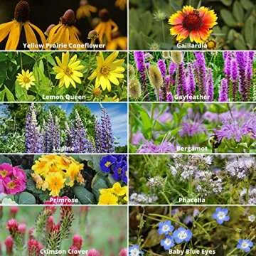 Wildflower Seeds Bulk, 2 Oz. 80,000+Seeds, Save the Bees Wild Flowers Seeds Mix-19 Non-GMO Varieties of Wildflower Seeds for Bees-Bee Friendly Wildflower Seeds-Pollinator Wildflower Seeds for Planting