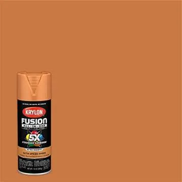 Krylon Fusion All-In-One Adhesive Spray Paint for Indoor/Outdoor Use, 12 oz, Spiced Amber