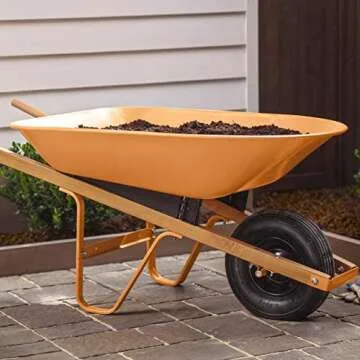 Krylon Fusion All-In-One Adhesive Spray Paint for Indoor/Outdoor Use, 12 oz, Spiced Amber