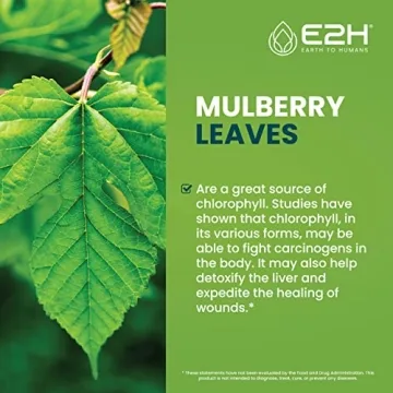 E2H Chlorophyll Drops for Natural Energy and Detox Support