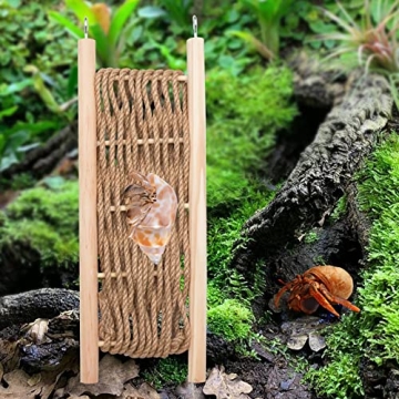 Jinkoozz Hermit Crab Climbing Ladder for Small Animals