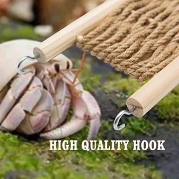 Jinkoozz Hermit Crab Climbing Ladder for Small Animals