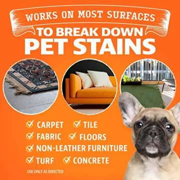 ANGRY ORANGE Enzyme Cleaner for Pet Stains and Odors