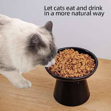 KITCHENLESTAR 6.2 Inch Extra Wide Elevated Ceramic Cat Bowls, Food and Water Bowl Set for Elder Big Cats Small Dogs, Raised Design for Pet Easy Eating, Protect Cat's Spine Set of 2(Black)