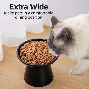 KITCHENLESTAR 6.2 Inch Extra Wide Elevated Ceramic Cat Bowls, Food and Water Bowl Set for Elder Big Cats Small Dogs, Raised Design for Pet Easy Eating, Protect Cat's Spine Set of 2(Black)