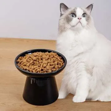 Elevated Ceramic Cat Bowls for Whisker Fatigue Relief