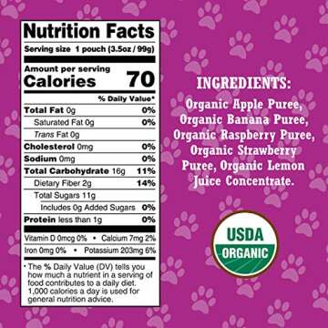 Paw Patrol Really Raspberry Organic Mixed Fruit Squeeze Pouch, 3.5 Ounce (Pack of 10)