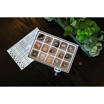 STEM Toy Rock Science Kit for Young Geologists