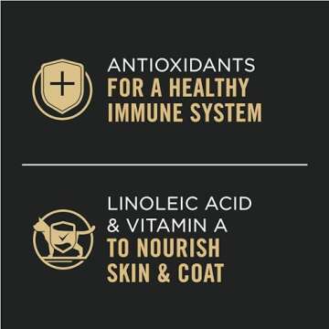 Purina Pro Plan High Protein Cat Food in Gravy 24 Pack