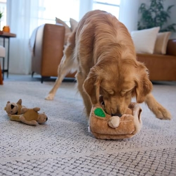 Hide A Squirrel Plush Dog Toy Puzzle for Interactive Fun