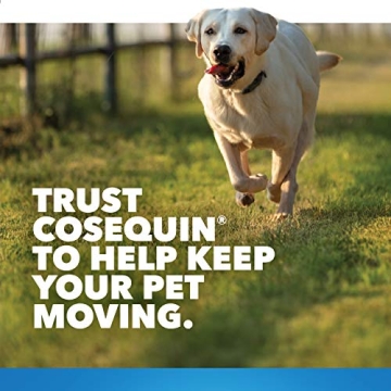 Nutramax Cosequin Joint Health Maximum Strength for Dogs