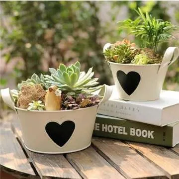 Airbin Artificial Succulent Plants Fake Decorations Pack of 17 Fake Succulents, Large Quantity and Long Length Succulent Craft Suitable for Different Locations in Home and Office