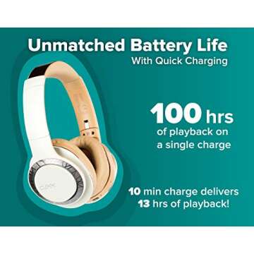 Cleer Audio Enduro 100 Headphones - 100-Hour Battery Life