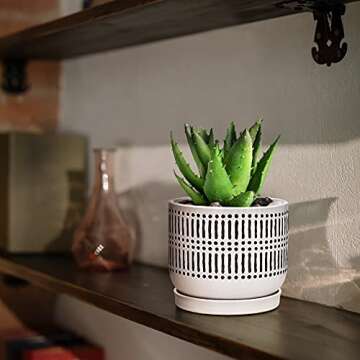 Docrin Ceramic Planters for Indoor Plants - Set of 2