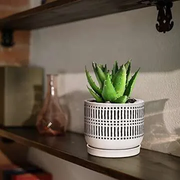 Docrin Ceramic Planters for Indoor Plants - Set of 2