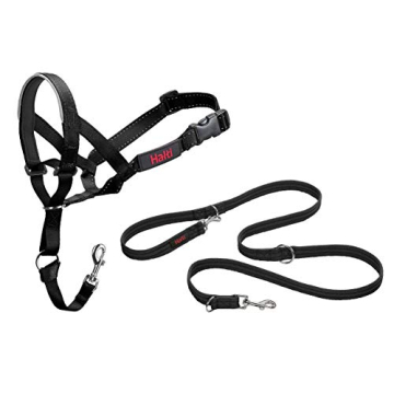 HALTI Headcollar & Training Leash Combo for Easy Walking