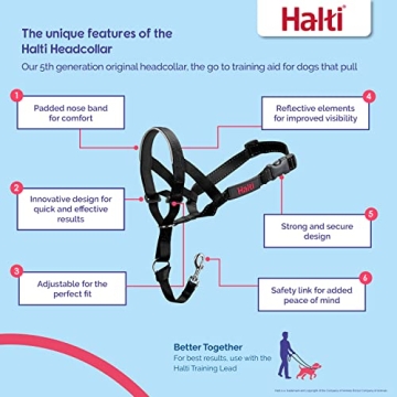 HALTI Headcollar & Training Leash Combo for Easy Walking