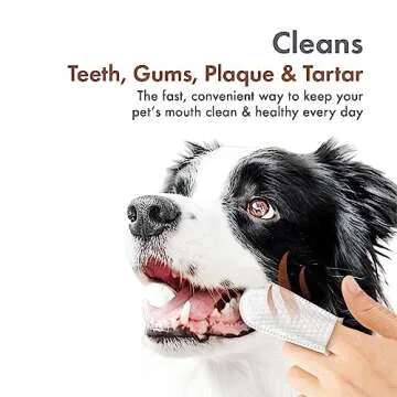 Petkin Fingertip Tooth Wipes for Dogs and Cats, 50 Finger Wipes - Slip-On, Snug Fit, Micro-Bristle Fabric - Cleans Teeth, Gums, Plaque & Tartar - Convenient, Ideal for Home and Travel - Peanut Butter
