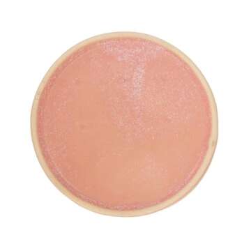 Ceramic Slow Feeder Cat Bowls 6 Inch Shallow Whisker Friendly Cat Food Bowls Grid Cat Dishes Pet Plate for Cat and Puppy, Dishwasher Safe (Pink)