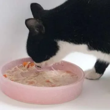 Ceramic Slow Feeder Cat Bowls 6 Inch Shallow Whisker Friendly Cat Food Bowls Grid Cat Dishes Pet Plate for Cat and Puppy, Dishwasher Safe (Pink)
