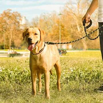 HIKISS 5 FT Strong Dog Leash, Rope Leash with Comfortable Padded Handle and Highly Reflective Threads Durable Dog Leashes for Medium and Large Dogs-Black Green(18-120 lbs)