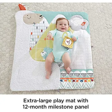 Fisher-Price Playmat with Tummy Time Wedge for Newborns